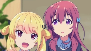 Bild aus gi(a)rlish number