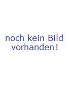 Bild aus #Compass 2.0－Sentou Setsuri Kaiseki System