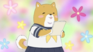 Bild aus Shiba Inuko-san